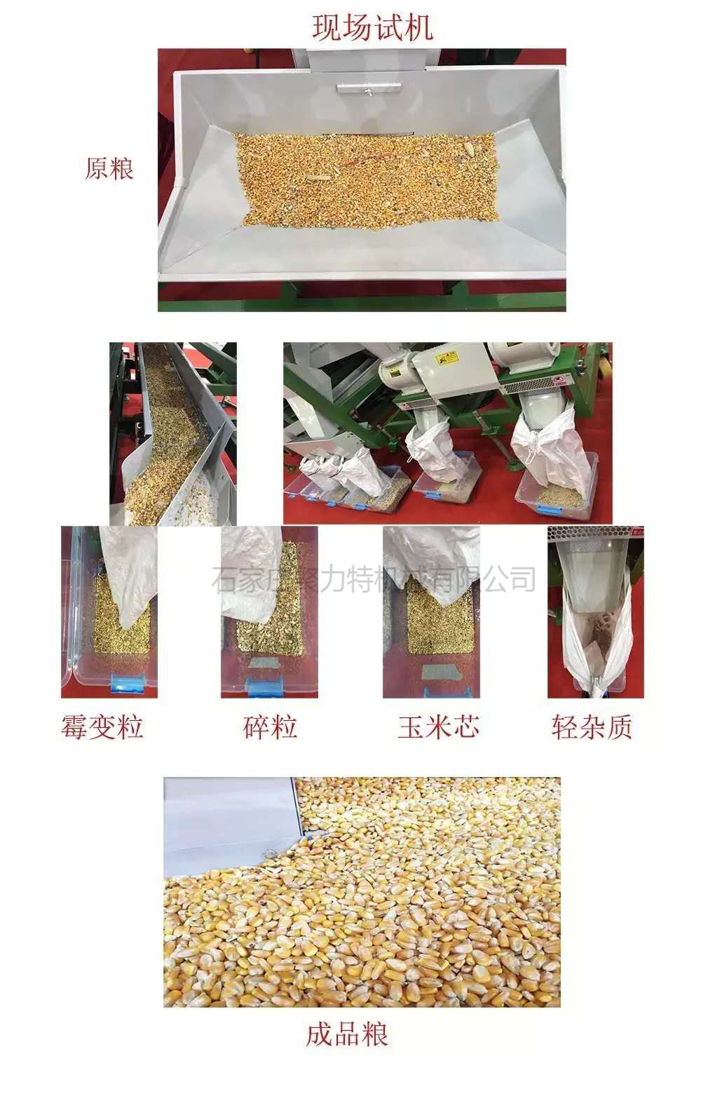效果圖