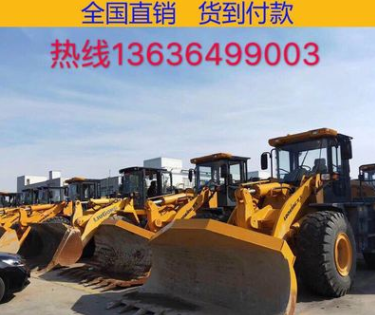 上海現(xiàn)場真品鏟車裝載機30/50裝載機，供應龍工臨工柳工