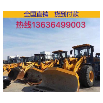 上?，F(xiàn)場真品鏟車裝載機(jī)30/50裝載機(jī)，供應(yīng)龍工臨工柳工