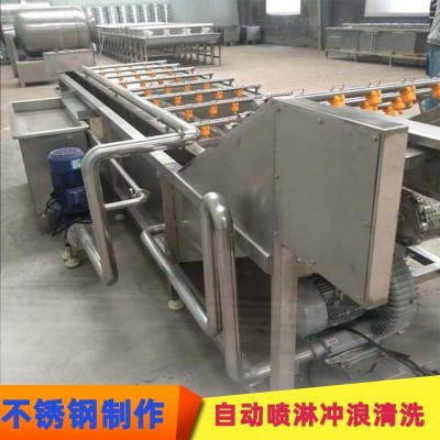 全自動(dòng)蔬菜清洗機(jī) 不銹鋼黃瓜榨菜加工生產(chǎn)線設(shè)備 辣椒氣泡清洗機(jī)
