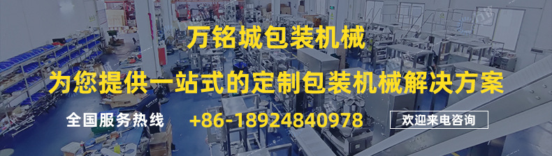 枕式包裝機(jī)