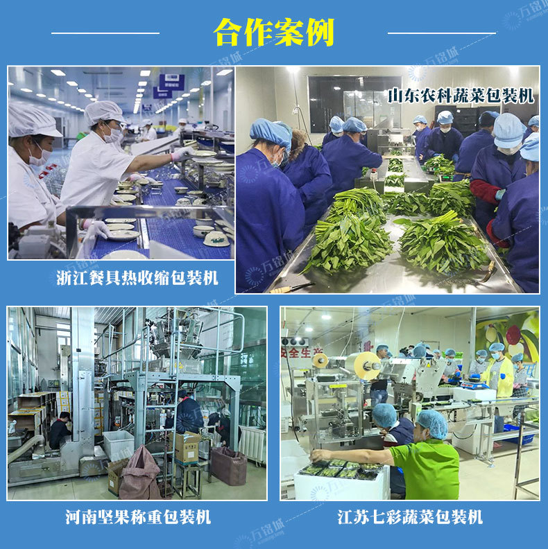 面包枕式包裝機(jī)