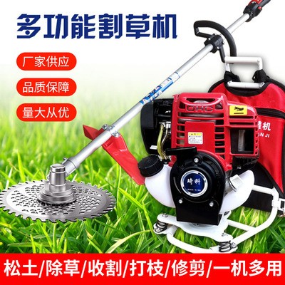 背負式割草機草坪剪草二沖四沖小型農(nóng)用除草機大功率草坪機