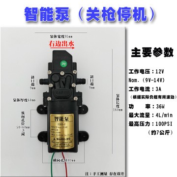 廠家直銷12V隔膜泵智能壓力泵3000轉(zhuǎn)高壓力電動噴霧器水泵20W40W
