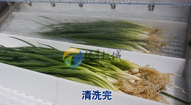清洗完