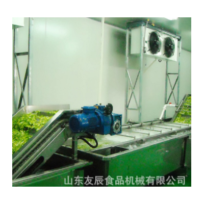 草菇蘑菇清洗機 油菜西藍(lán)花渦流清洗機 茄子凈菜深加工清洗加工廠