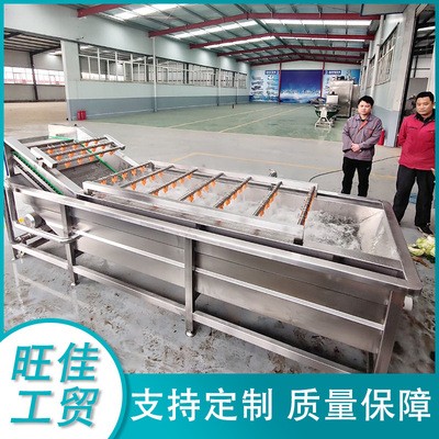 不銹鋼全自動(dòng)果蔬清洗線 高壓氣泡清洗機(jī) 油麥菜金針菇清洗設(shè)備