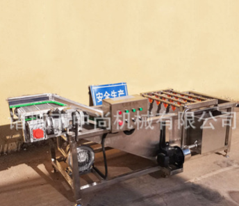 蔬菜水果清洗機 全自動中藥材清洗設備 獼猴桃翻滾高壓氣泡清洗機