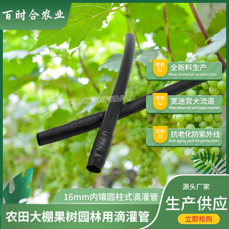 內(nèi)鑲圓柱式滴灌管哪家好山東百時合農(nóng)業(yè)科技有限公司