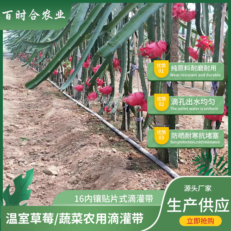 內鑲貼片式滴灌帶規(guī)格山東百時合農業(yè)科技有限公司