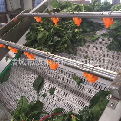 貴州毛尖茶葉清洗機(jī) 茶葉漂燙機(jī)烘干加工線 荷葉加工成套設(shè)備