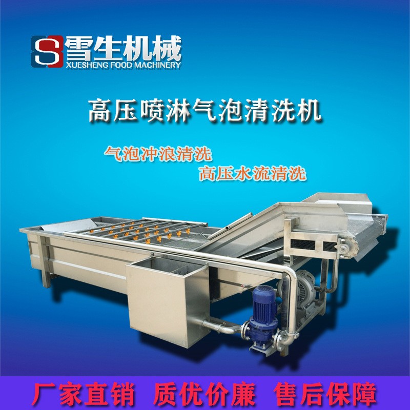 蘑菇香菇大型氣泡清洗機 定制型號不銹鋼連續(xù)果蔬氣泡清洗機 熱銷