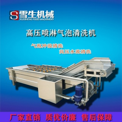 蔬菜氣泡清洗機 定制多功能果蔬氣泡清洗機 廠家供應(yīng)氣泡清洗機