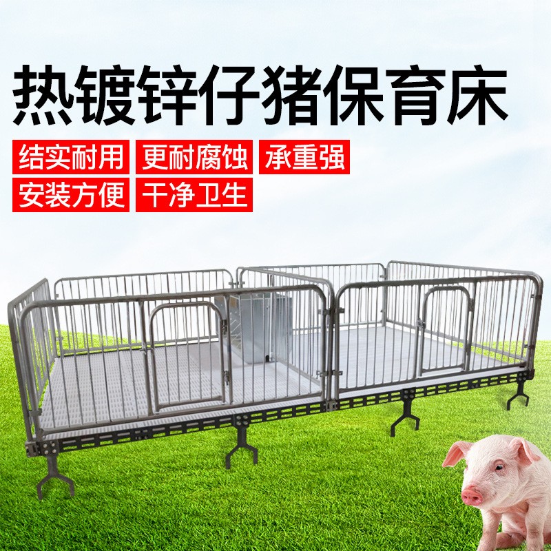 廠家批量生產(chǎn)小豬用鑄鐵保育床塑料漏糞板雙面食槽國標鍍鋅管促銷