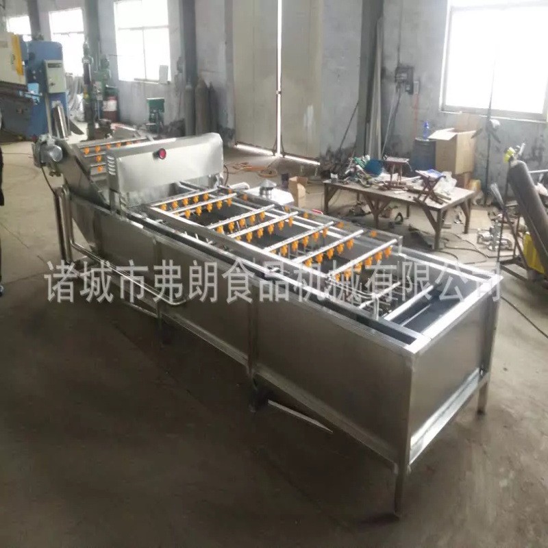 果蔬清洗風(fēng)干分級成套設(shè)備 商用不銹鋼氣泡清洗機(jī) 荔枝氣泡清洗機(jī)