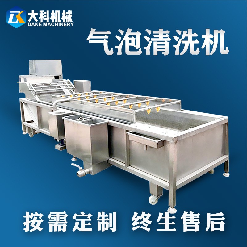 廠家供應(yīng)果蔬氣泡清洗機(jī)水果高壓噴淋清洗設(shè)備商用海鮮蔬菜清洗機(jī)