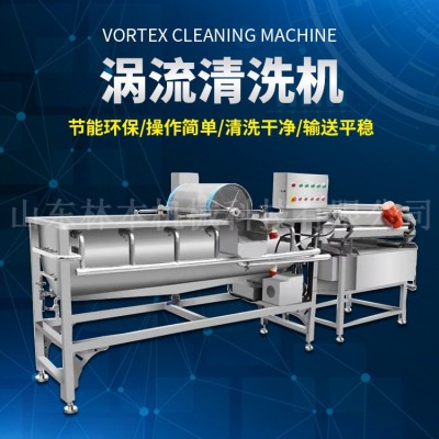 商用菠蘿渦流清洗機(jī) 不銹鋼蔬菜洗菜清洗機(jī) 全自動(dòng)凈菜流水線洗菜