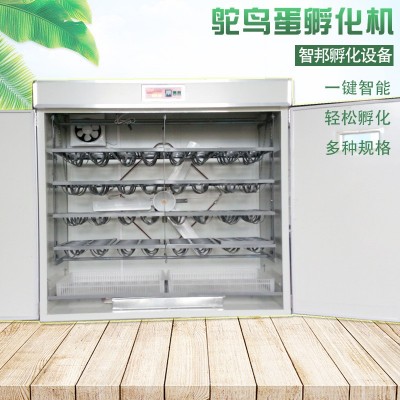 定制全自動智能鴕鳥種蛋孵化機(jī)器鴯鹋孵化箱孵化器孵蛋器