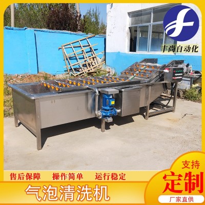 小龍蝦圣女果高壓氣泡清洗 小油菜果蔬清洗機(jī) 凈菜清洗流水線設(shè)備