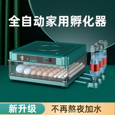 孵化機(jī)全自動(dòng)智能小雞苗鴨鵝孵化器小型家用孵化箱鴿子鸚鵡孵蛋器