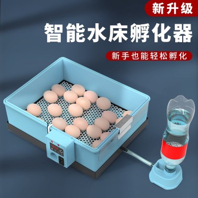 通達(dá)仿生水床孵化機(jī) 家用型20枚孵化器迷你泡沫水床 全自動(dòng)孵蛋器
