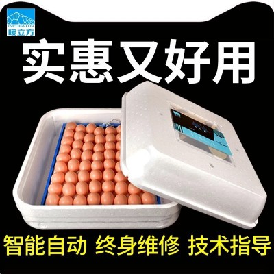 暖立方廠家長期供應(yīng)批發(fā)小型全自動孵化機(jī)家用型孵化器小雞孵化器