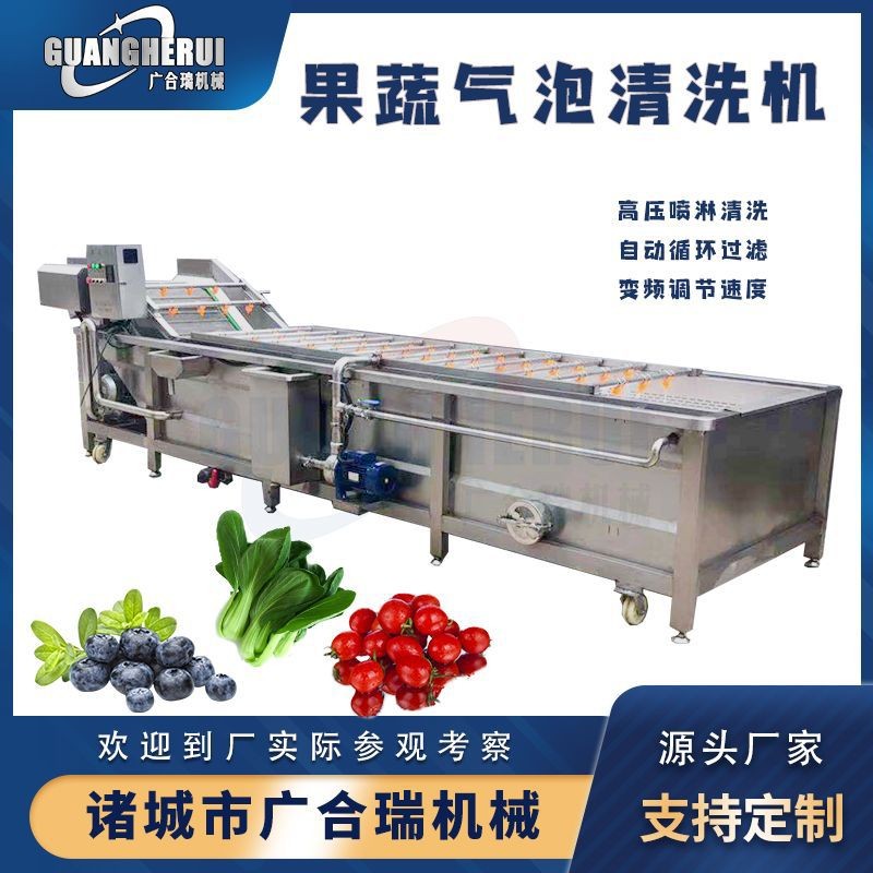 果蔬氣泡清洗機(jī) 大姜白菜毛豆蔬菜高壓噴淋清洗設(shè)備 全自動洗菜機(jī)