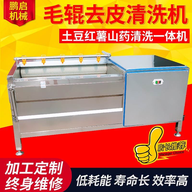 小型毛刷清洗機(jī) 紅薯土豆清洗去皮機(jī) 不銹鋼海鮮清洗去泥機(jī)