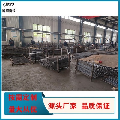 德州博耀養(yǎng)殖設備廠家供應 歐式單雙體母豬產床 豬用定位欄