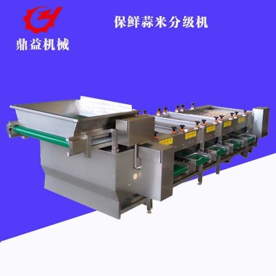 全自動大蒜加工流水線 蒜瓣分選機 干蒜米加工設(shè)備廠家供應(yīng)