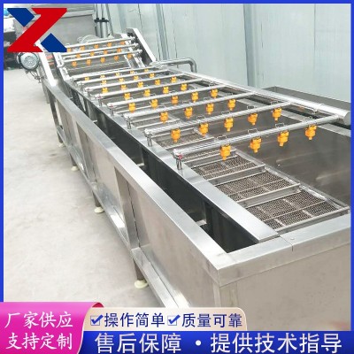 全自動果蔬清洗機 藍莓粽葉清洗設(shè)備 不銹鋼氣泡清洗機 洗菜機