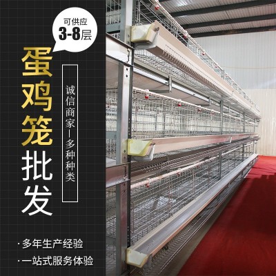 全自動(dòng)框架蛋雞籠養(yǎng)雞設(shè)備自動(dòng)清糞系統(tǒng)養(yǎng)殖設(shè)備鍍鋅大層疊養(yǎng)雞籠