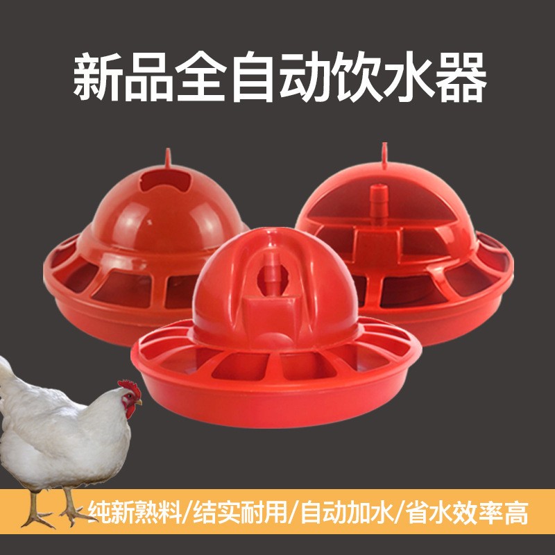 廠家批發(fā)自動(dòng)雞用飲水器 喂水器鳥水壺水桶 雞飲水器貼牌