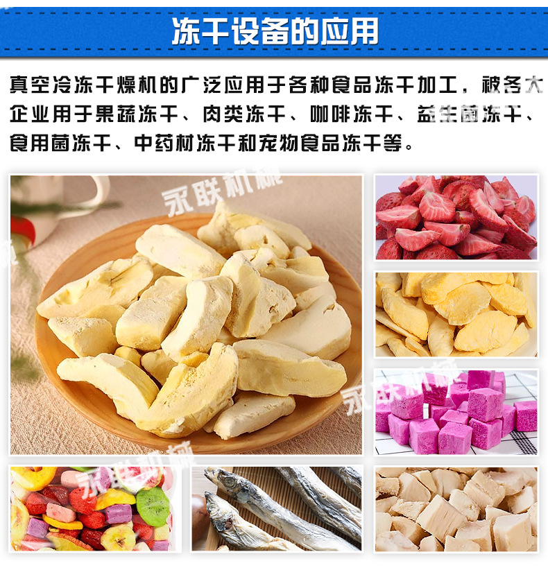 永聯(lián)凍干機_04.jpg