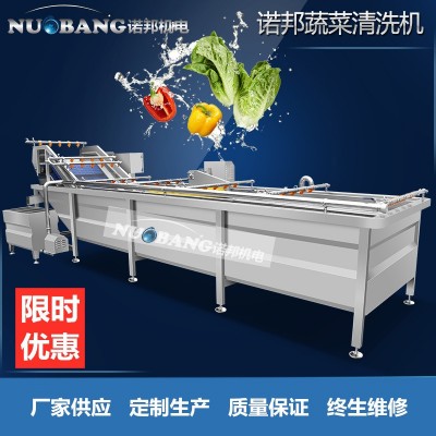廠家銷(xiāo)售檸檬片清洗機(jī) 全自動(dòng)氣泡噴淋果蔬清洗機(jī) 藍(lán)莓果洗果機(jī)