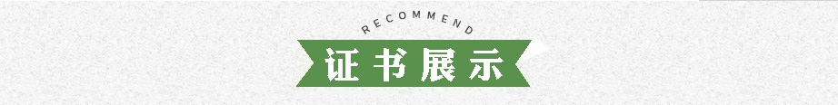 證書展示.jpg