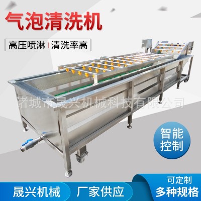 定制全自動氣泡清洗機(jī) 白菜萵筍氣泡清洗設(shè)備 高壓噴淋大姜洗菜機(jī)