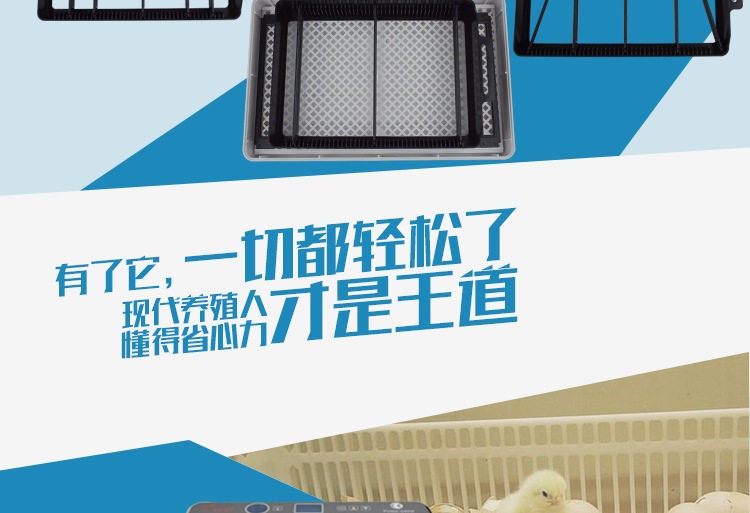 12詳情_16.jpg