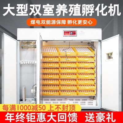 小雞孵化箱工業(yè)孵化器雙室孵蛋機智能孵蛋器全自動家用小型孵化機