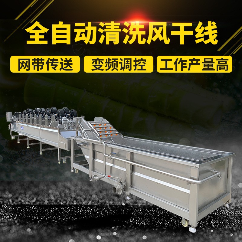 大葉類蔬菜氣泡清洗機(jī) 海鮮高壓氣泡清洗機(jī) 現(xiàn)貨銷售