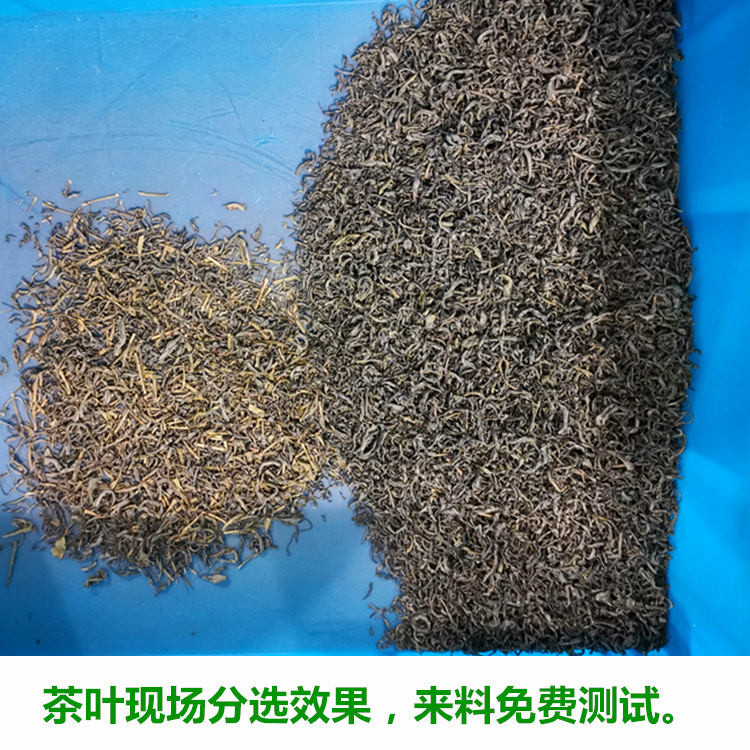 茶葉主圖2