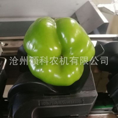 青椒分選機(jī)彩椒分級機(jī)菜椒分級機(jī)篩選機(jī)分揀機(jī)