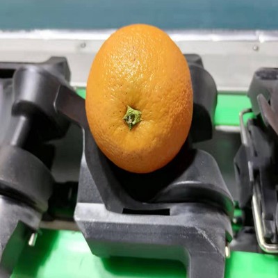檸檬分級機(jī) 分選機(jī) 小型篩選機(jī) 水果分選重量蘋果 梨獼猴桃大青棗