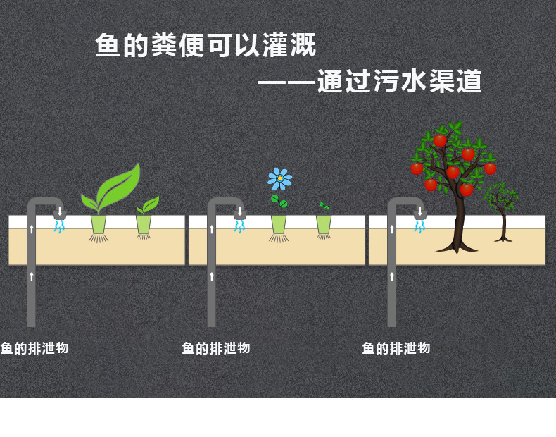 不銹鋼錦鯉一體機_07.png