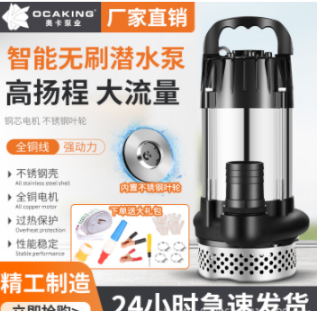 無刷直流潛水泵高揚(yáng)程48V60V72V伏通用電動(dòng)車電瓶車抽水泵抽水機(jī)