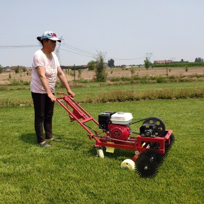 園林草坪切邊機(jī)草坪基地專用草皮切塊劃線機(jī)草場(chǎng)鏟草皮用切割機(jī)