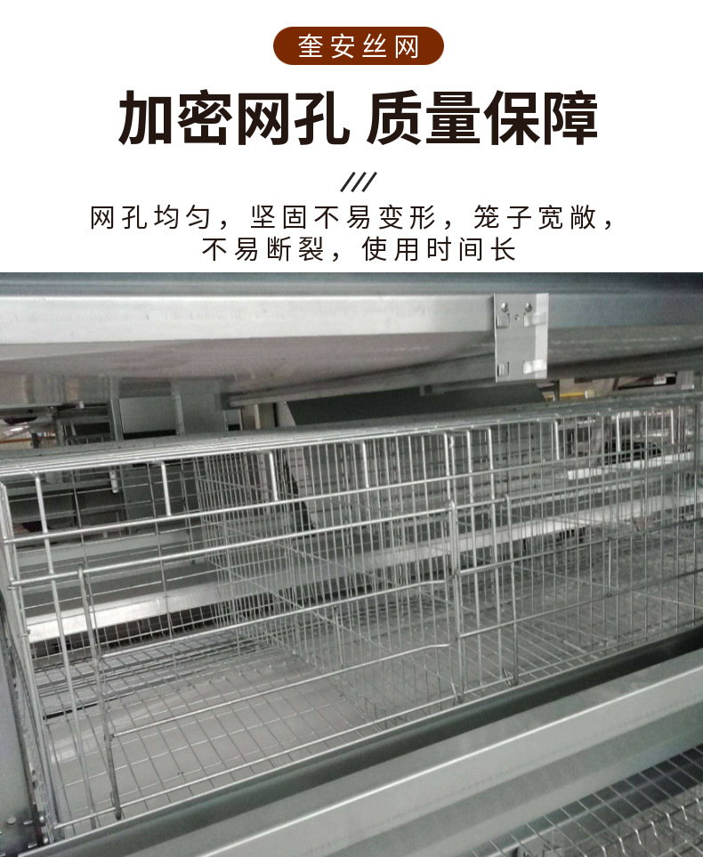 雞籠 (5).png