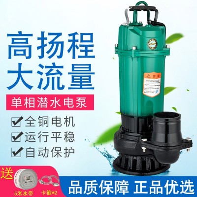 農(nóng)用220V 1寸2寸3寸4寸四寸潛水泵抽水機(jī)大流量高揚(yáng)程泵魚(yú)塘灌溉