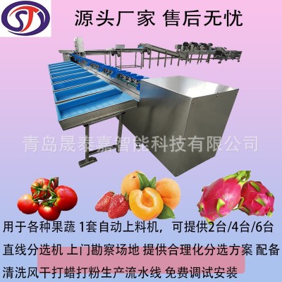 全自動(dòng)選果機(jī) 水果重量分選機(jī) 直線滾輪果蔬分級(jí)機(jī) 源頭生產(chǎn)廠家