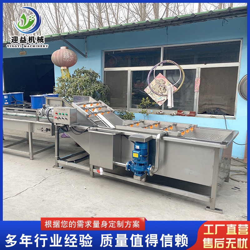 山野菜去農(nóng)殘氣泡清洗機 多功能果蔬清洗機 商用不銹鋼噴淋清洗機